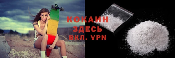 шишки Арсеньев