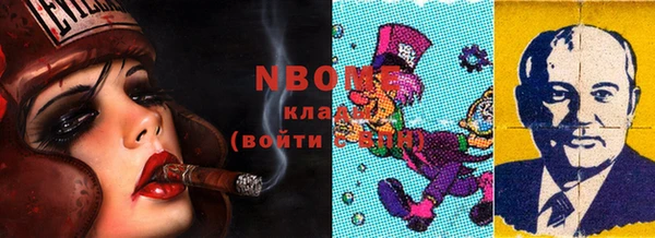 шишки Арсеньев