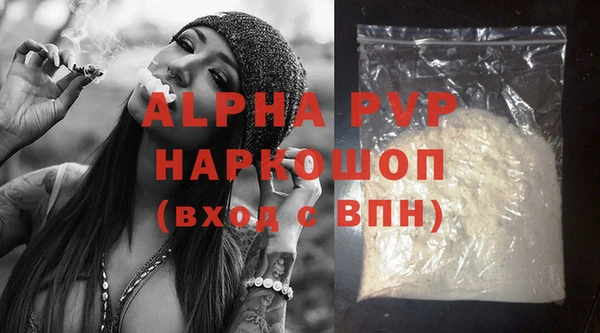 шишки Арсеньев