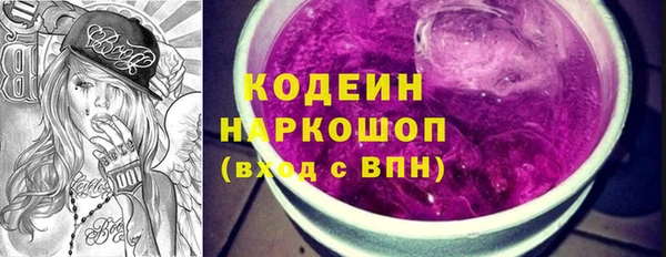 шишки Арсеньев