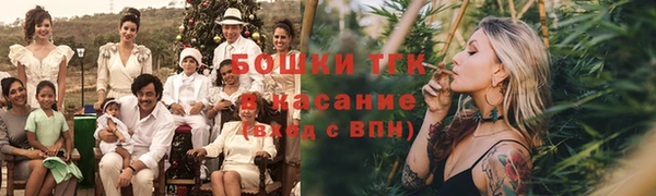шишки Арсеньев