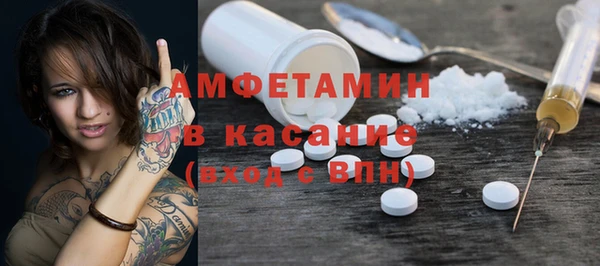 шишки Арсеньев